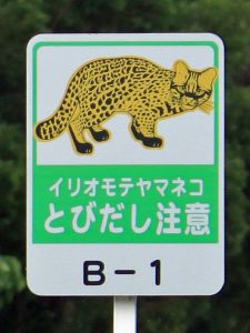 warning-sign-for-iriomote-cat